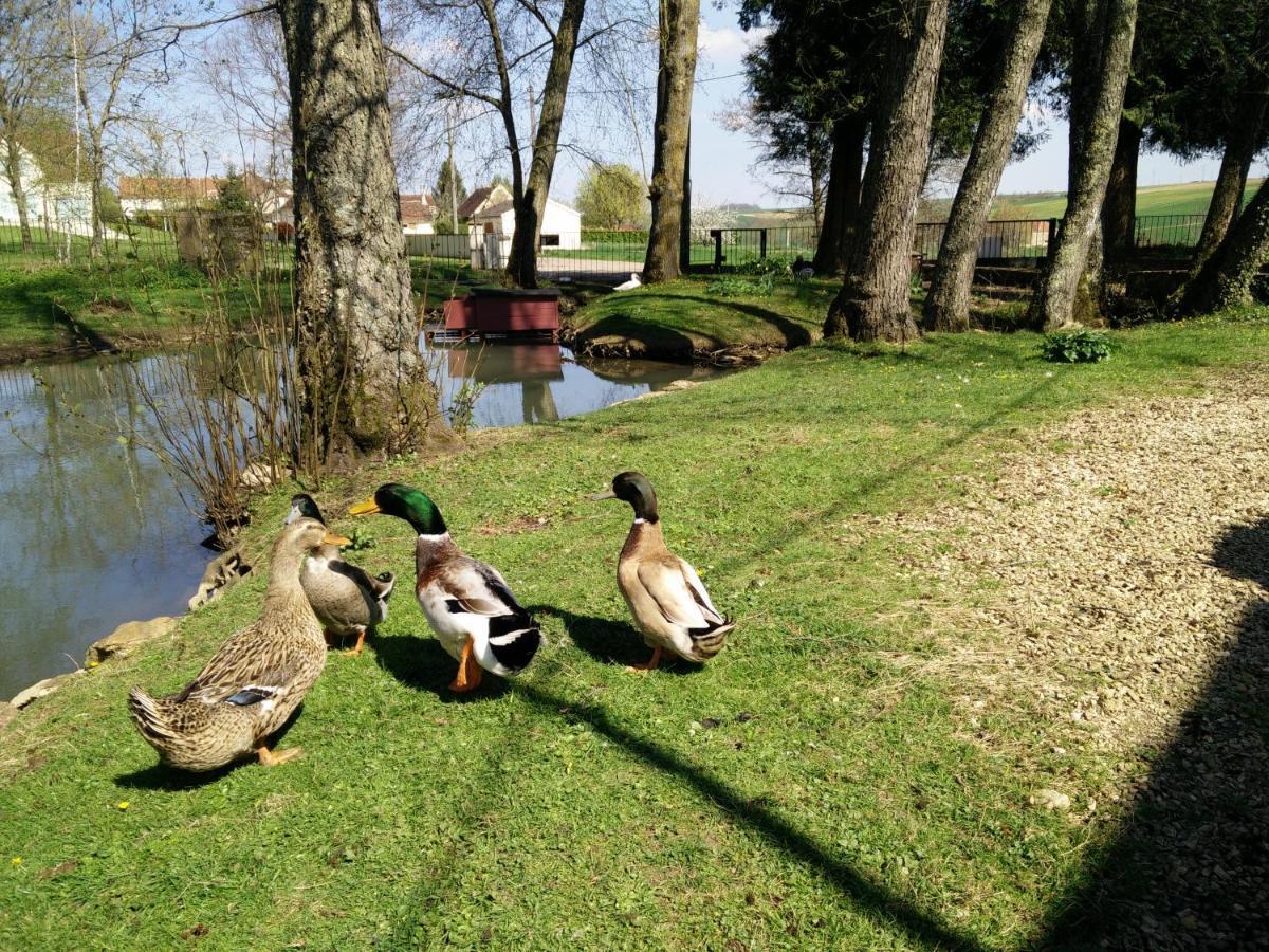 La Barbotiere Chevannes (Yonne) Exterior foto